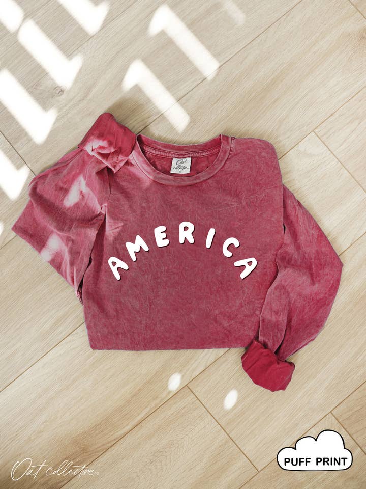 AMERICA PUFF Mineral Washed Long Sleeve Graphic for wholesale by OAT COLLECTIVE