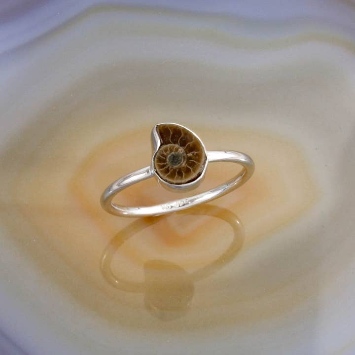 Sterling Silver Shine On Ammonite Ring- Size's 5-9 and other Purchase Wholesale artistic wire. Free Returns & Net 60 Terms on Faire trending on Faire.