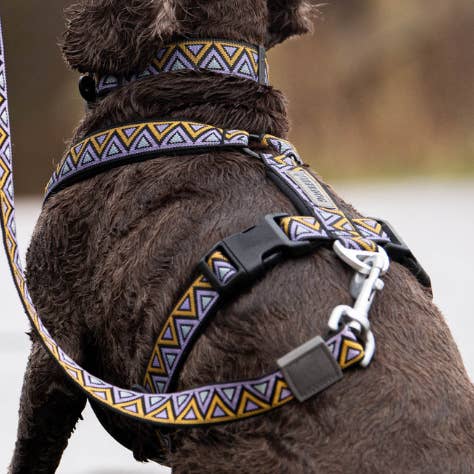 Y Dog Harness | GO-CEE-Y Dog Harness - Erysimum for wholesale by NEERDOG | Dog Harnesses | Dog Leads | Dog Collars | Coats