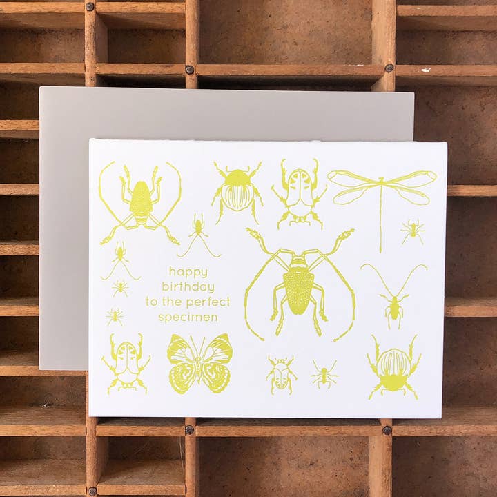 Blackbird Letterpress - Wholesale Birthday Card - insects birthday card2