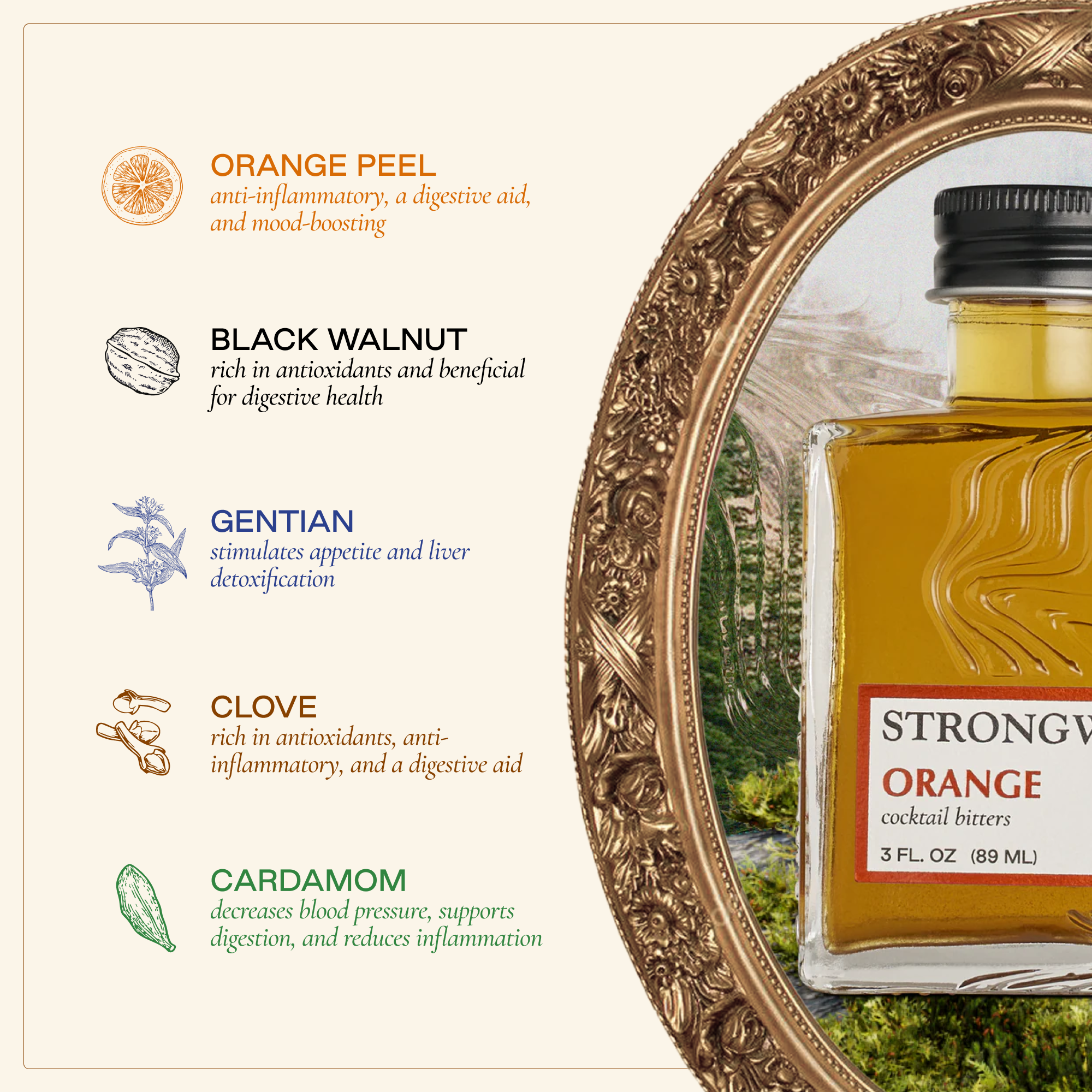 Strongwater - Vendita all'ingrosso Bitter - Amari da cocktail arancioni6