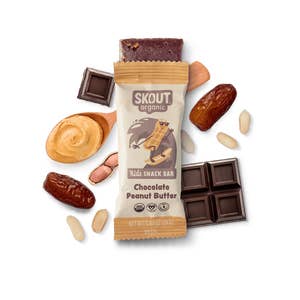 Chocolate Peanut Butter Kids Bar and other Wholesale quest bars for your store trending on Faire.