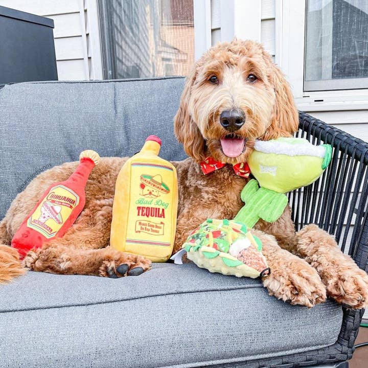 Huxley & Kent - Wholesale Pet Plush Toy - Dog - Margarita Loco Dog Toy