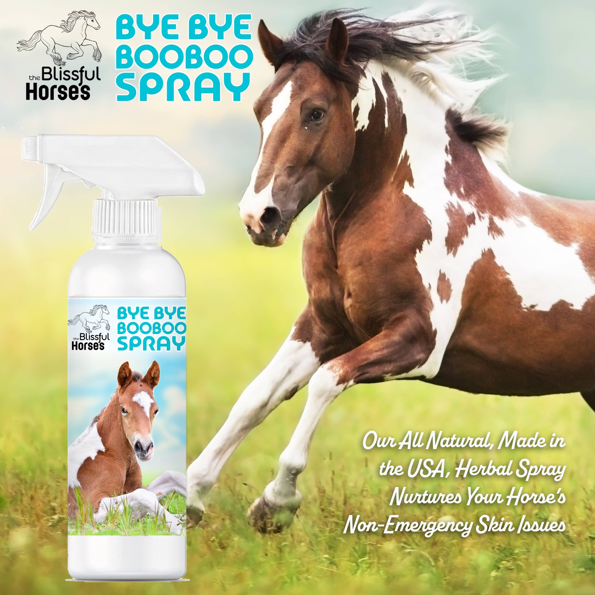 The Blissful Dog – wholesale Husdjursspray - Hund – Den lycksaliga hästar Bye Bye Boo Spray - 16 uns1