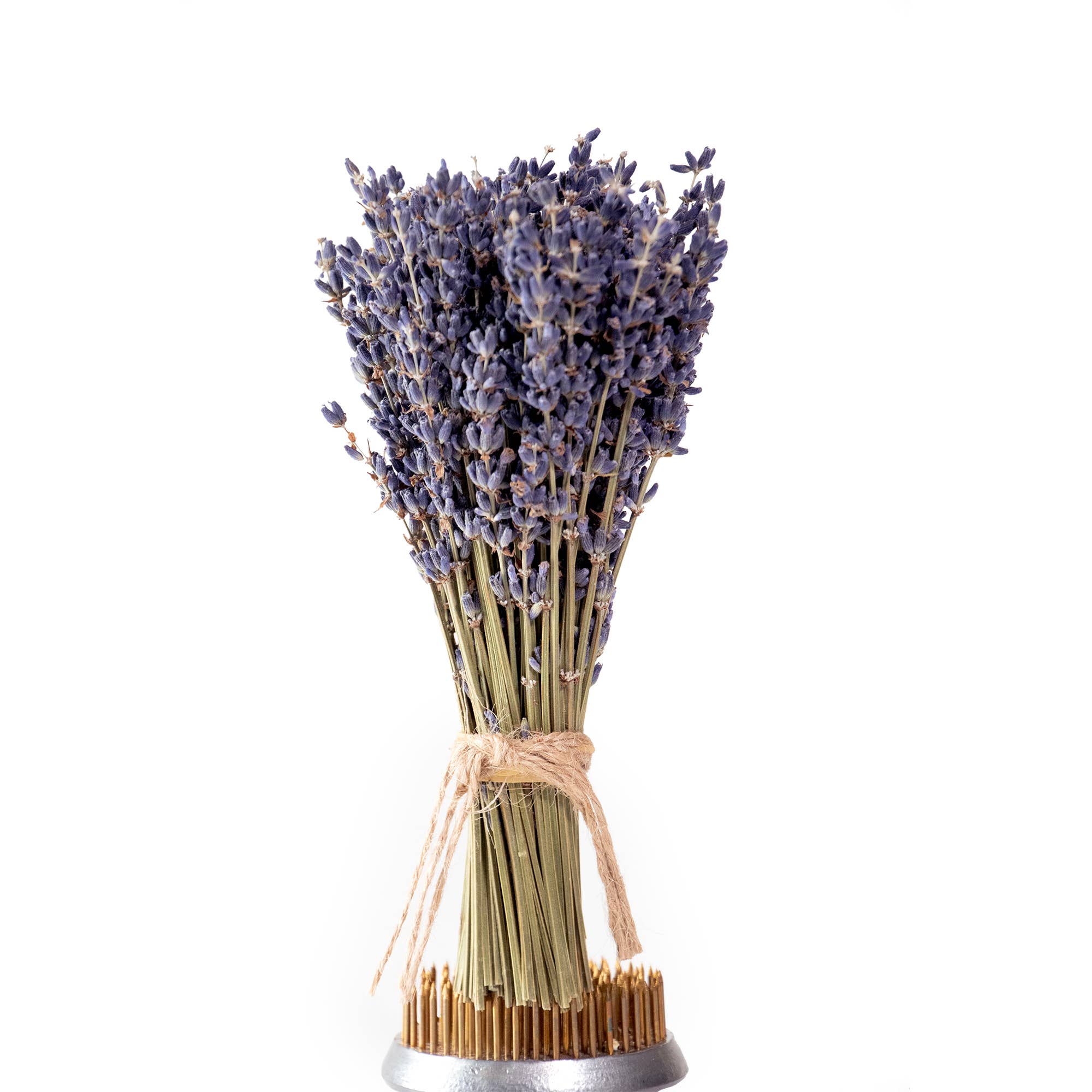 Andaluca - Wholesale Dried/Pressed Flowers - MINI French Lavender Bundle3