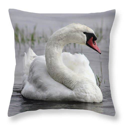 CUSCINO "THE WHITE SWAN'S LOOK" per la vendita all'ingrosso da parte di sorayadapuzzostore