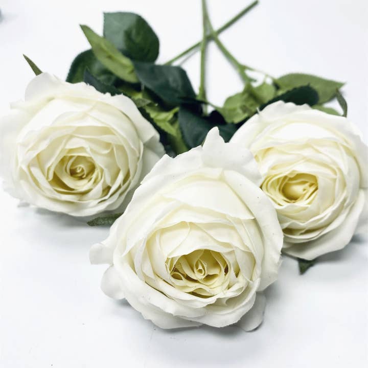 Angel Isabella - Wholesale Artificial flowers - 17"-Ultra Realist Real touch Cabbage Rose-Artificial 3