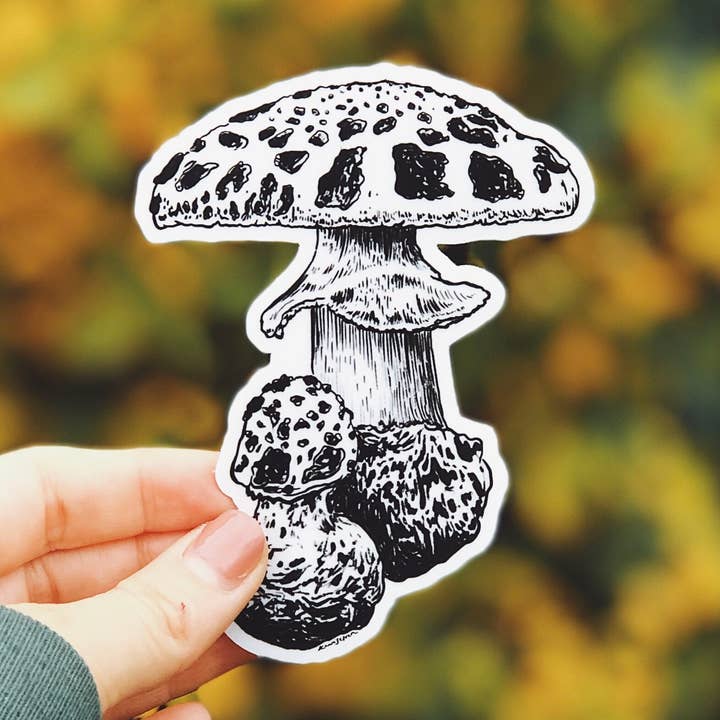 Mushroom I, waterdichte natuursticker voor wholesale door Kaari & Co.
