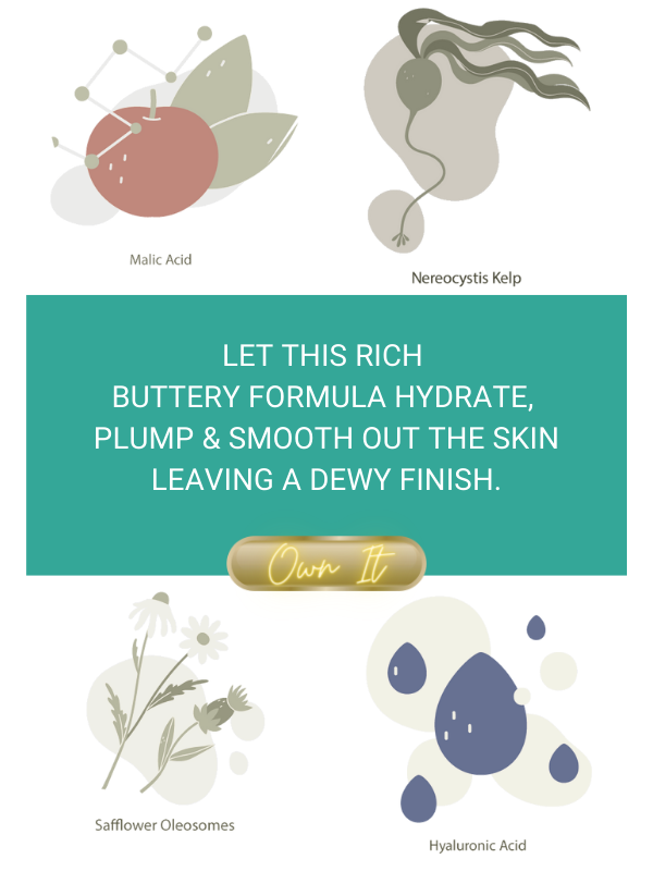 Seaflora Skincare - Wholesale Night Cream - Intensive Restorative Night Cream: for Dewy, Dreamy Skin 3