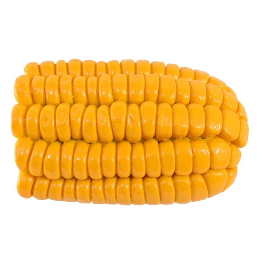 R&M International - Wholesale Cleaning Brush - Vegetable Brush Corn Bucket /243