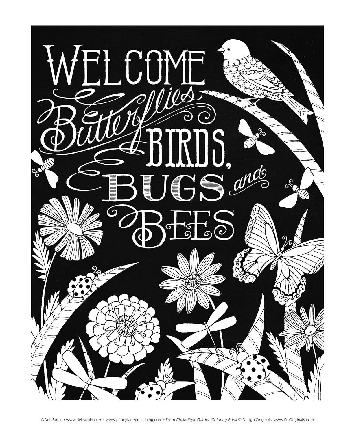 Fox Chapel Publishing - Wholesale Coloring Book - Adult - Chalk-Style Garden Coloring Book1