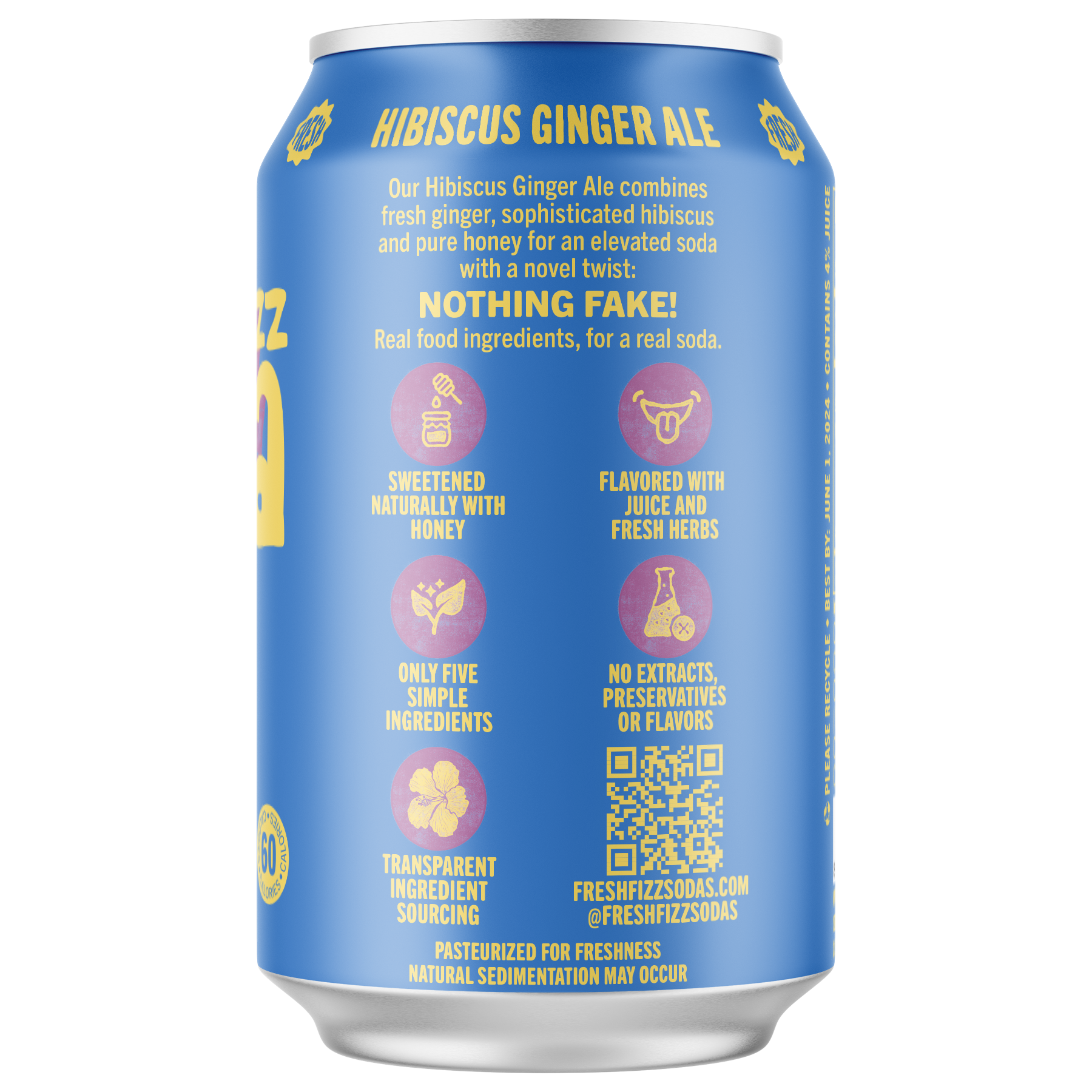 Fresh Fizz Sodas - Wholesale Soda/Carbonated Drink - Hibiscus Ginger Ale - Natural Soda (12-Pack)2