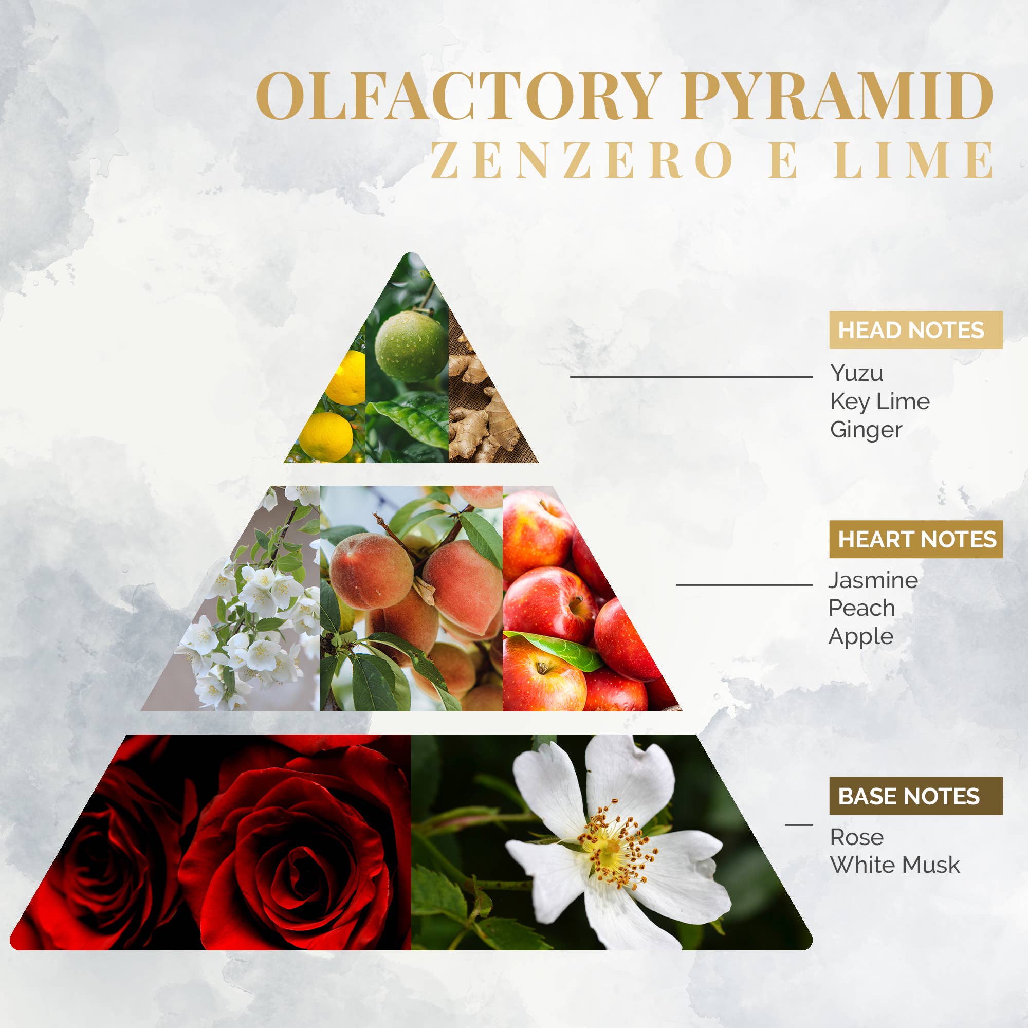 Logevy Firenze 1965 – Engroshandel Duftolie med pinde – Duft til rum med ingefær og lime 100 ml4