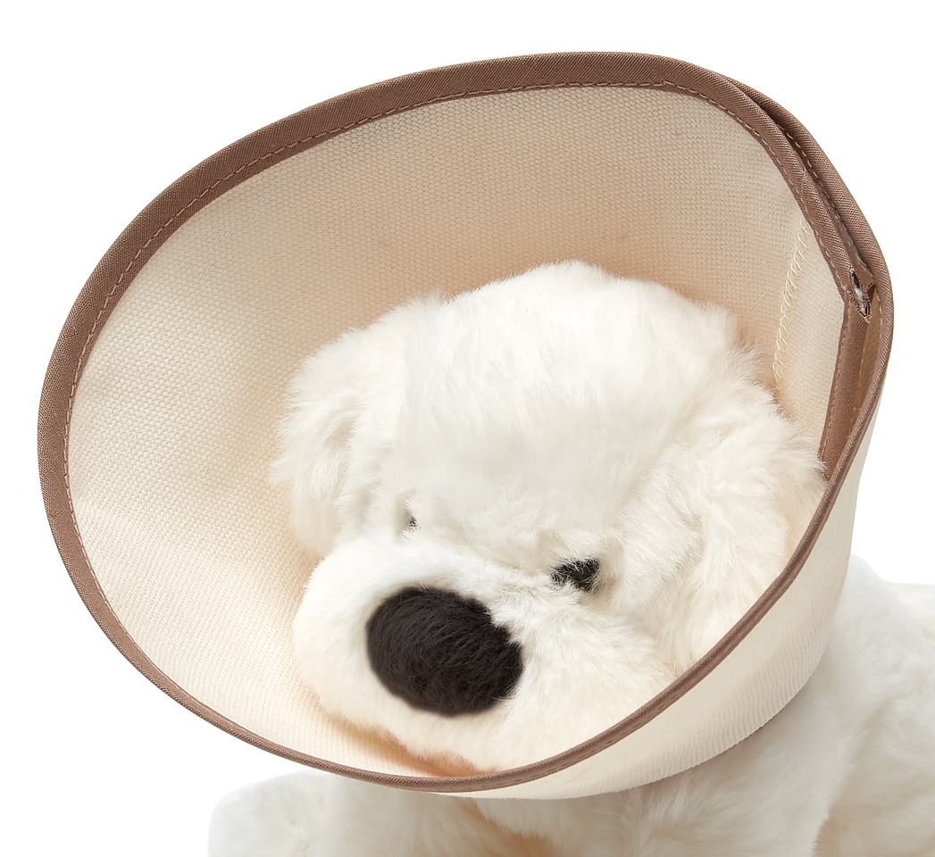 PlanToys - Wholesale Toy Set - Kids - Kids' Empathy-Building Vet Toy Set1