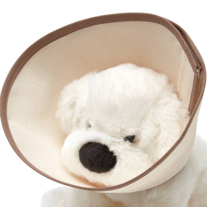 PlanToys - Wholesale Toy Set - Kids - Kids' Empathy-Building Vet Toy Set1