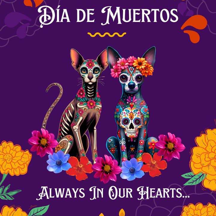 Gonesh - Wholesale Incense - Incense Sticks: Dia De Muertos Pet Friendly Cat Devon: Copal1