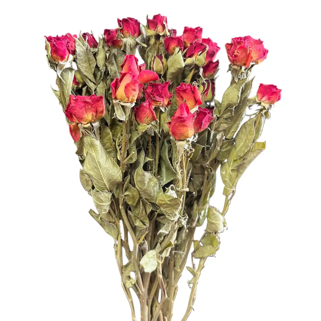Botanico Ltd. - Wholesale Artificial Flowers - Spray Roses0