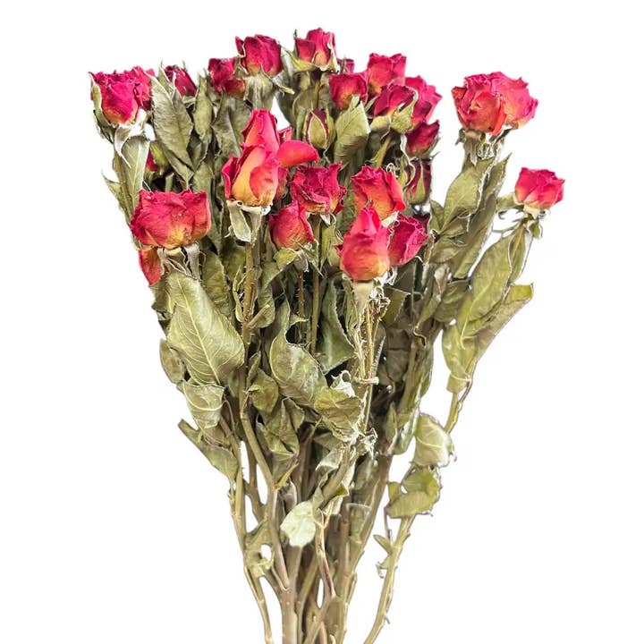 Botanico Ltd. - Wholesale Artificial Flowers - Spray Roses
