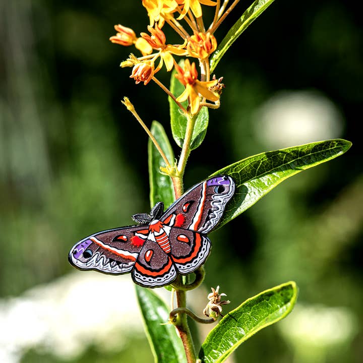 Cecropia Moth Enamel Pin for wholesale by The Roving House