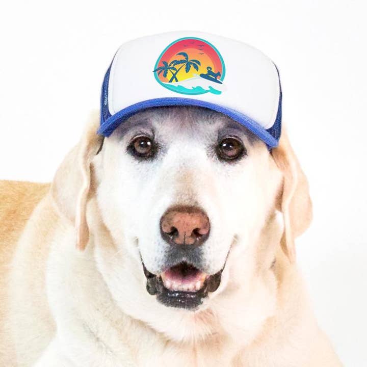 PupLid - Wholesale Pet Hat - Dog - Surfer Dog Standard or Namedrop | Trucker Hat for Dogs25