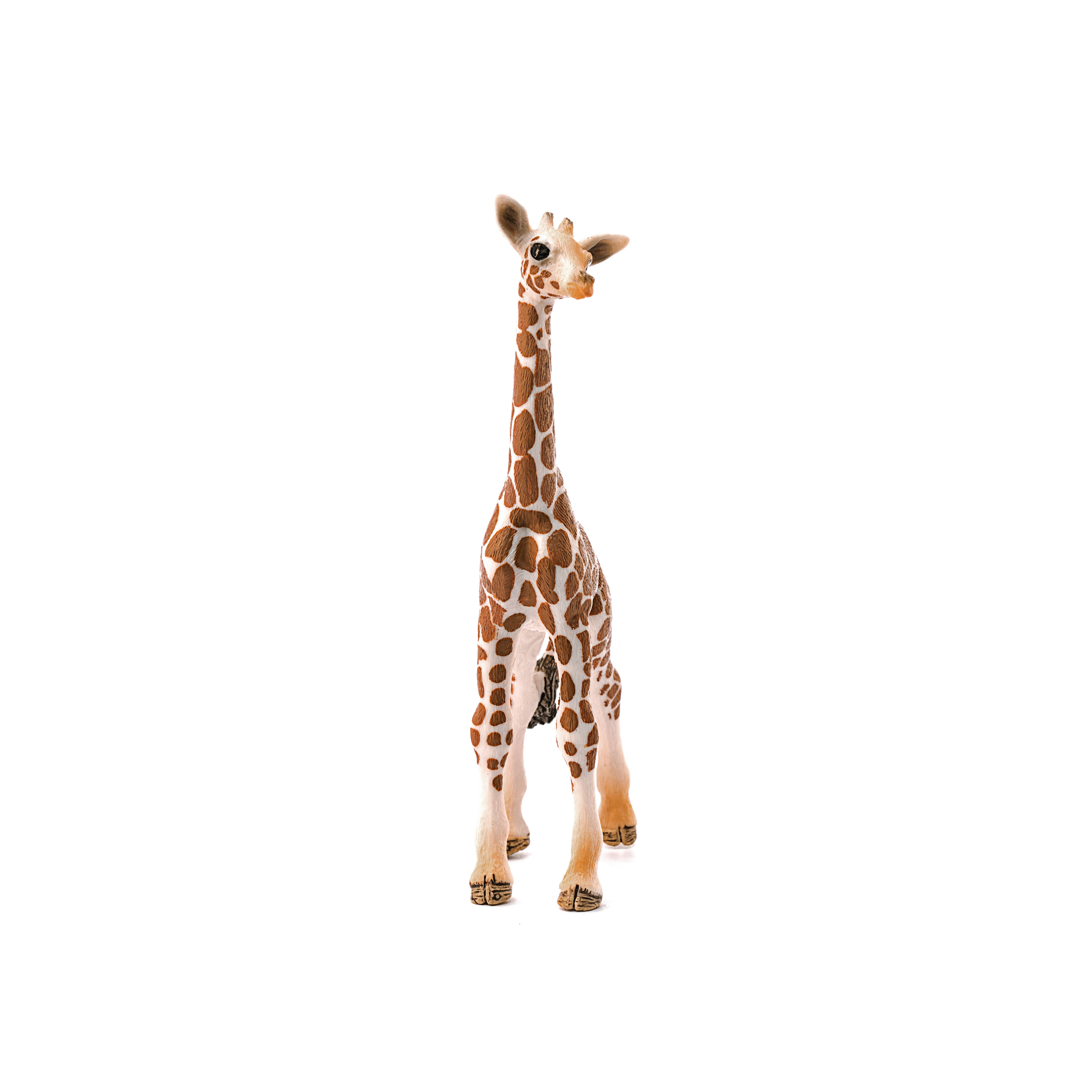 Schleich - Wholesale Figurine Toy - Kids - Giraffe Calf Safari Animal Toy1