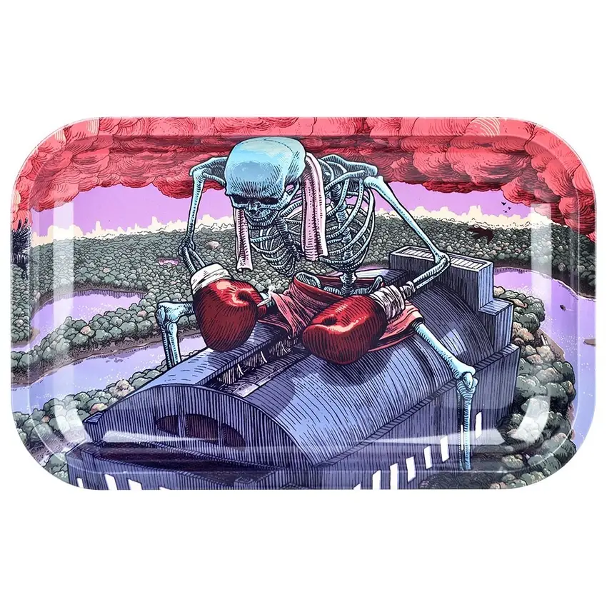 Sunshine Joy – wholesale Decorative tray – The Boxer Grateful Dead Metal Tray w/ Magnetic Lid Cover1