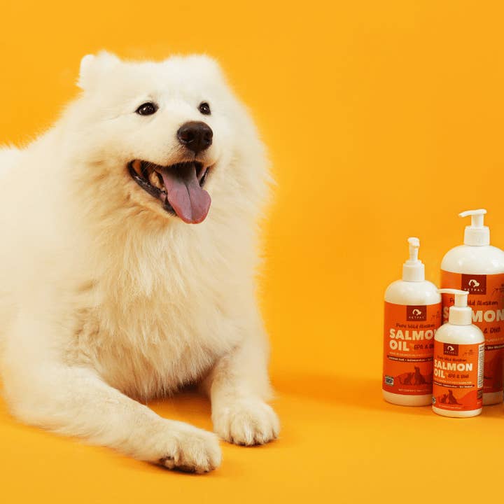Petpal - Wholesale Pet Supplement - Cat/Dog - Pure Wild Alaskan Salmon Oil for Dogs & Cats Pet Supplement