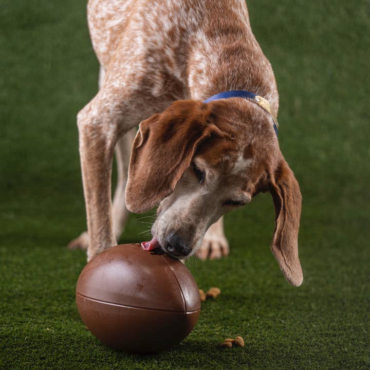 Boundless Hound - Wholesale Pet Toy - Dog - Boundless Hound Enrichment Feeder (Case of 9 Units)3