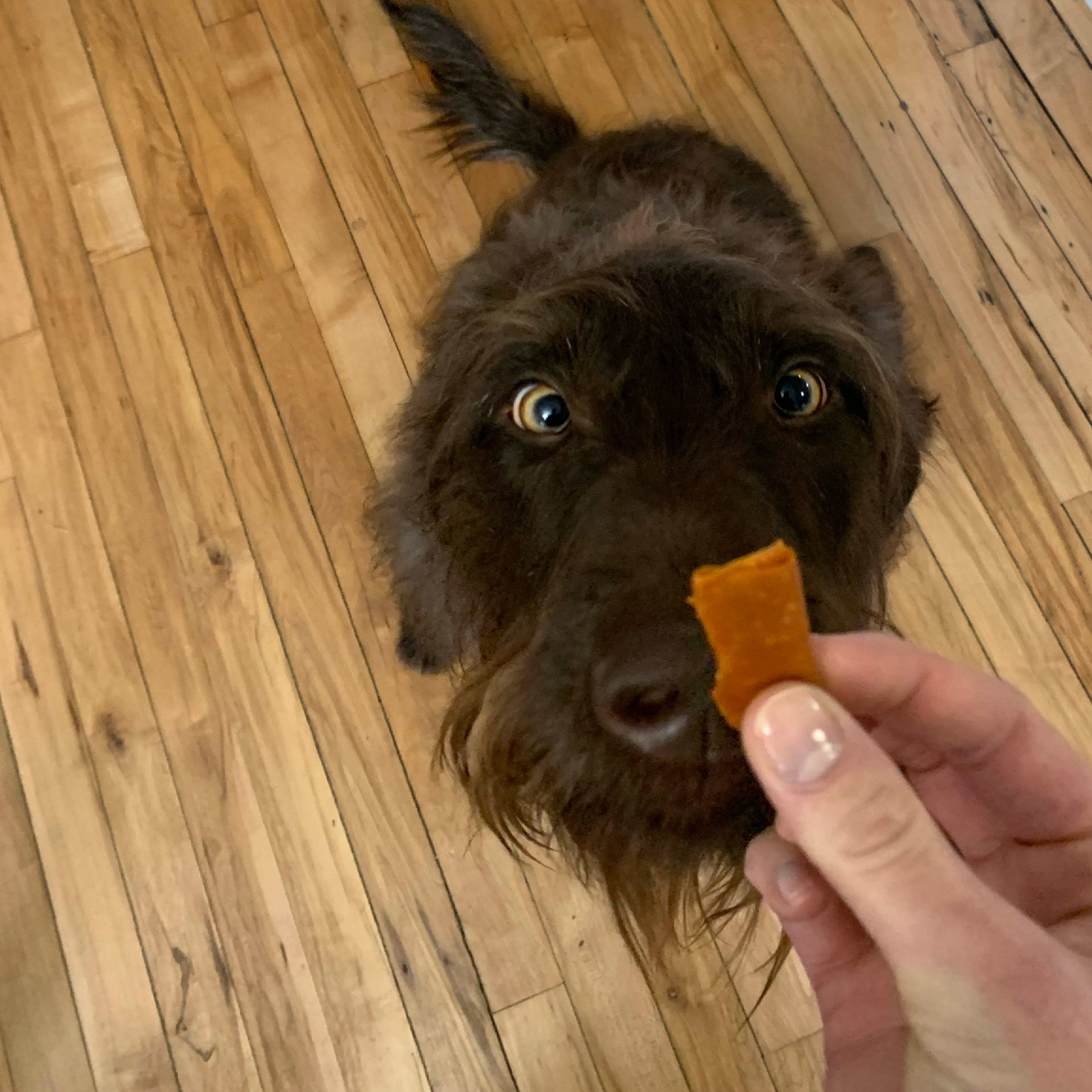 Stashios - Wholesale Pet Treats - Dog - Wrap-Ups®, Peanut Butter5