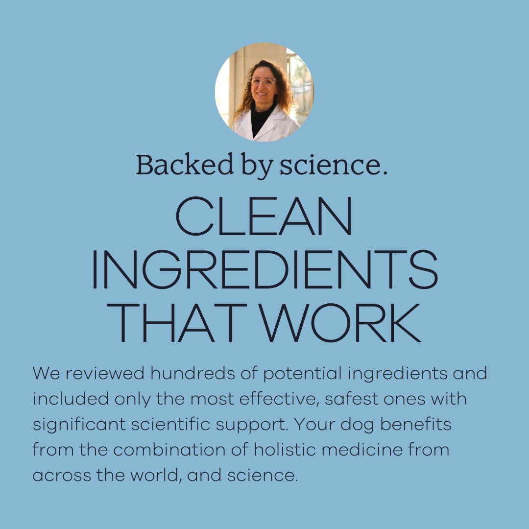 Yumwoof Natural Pet Food - Wholesale Pet Supplement - Dog - Perfect Immunity2