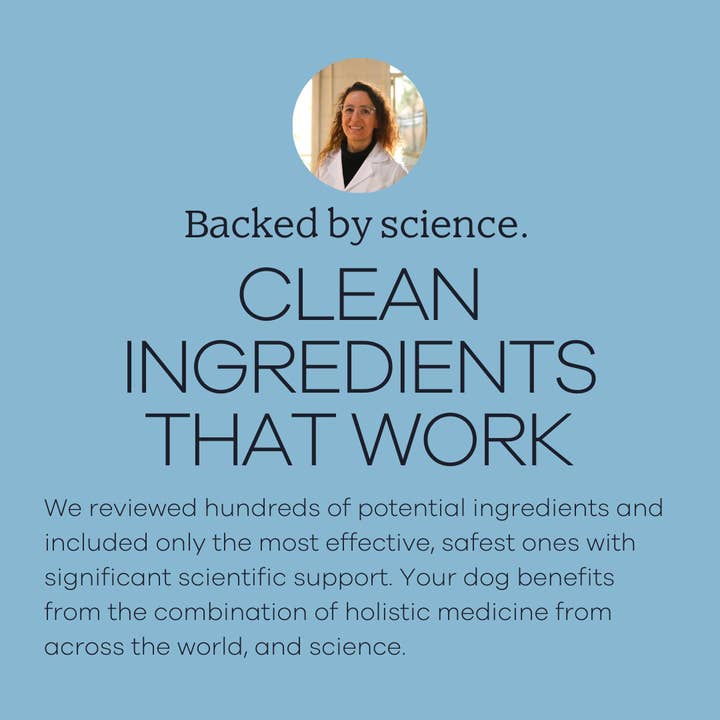 Yumwoof Natural Pet Food - Wholesale Pet Supplement - Dog - Perfect Immunity2