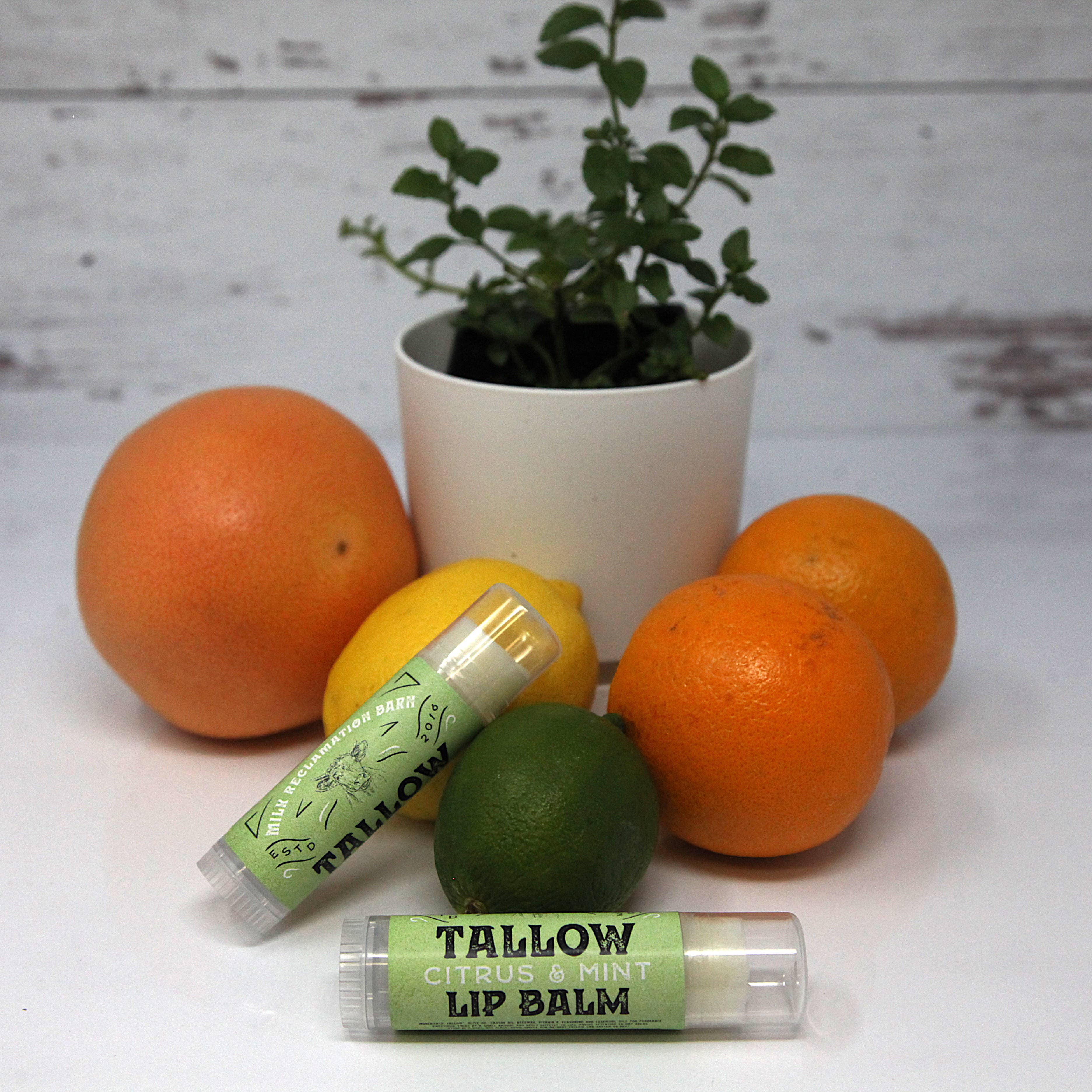 Milk Reclamation Barn - Wholesale Lip Balm - Tallow Lip Balm - .5 oz / 14g Twist-Up Tube9