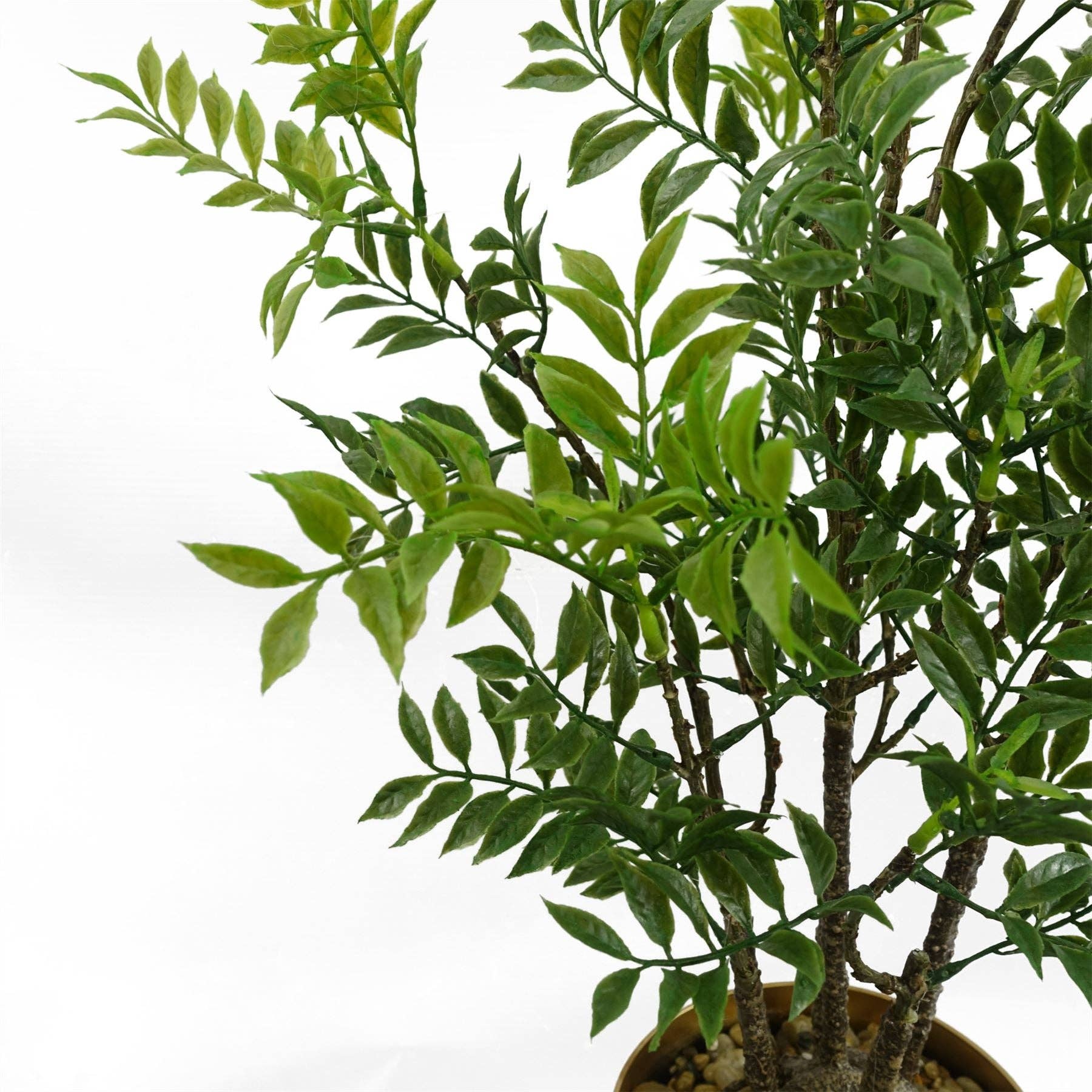 Leaf Design UK LTD - Vendita all'ingrosso Piante artificiali - Albero di Ficus Bonsai Nandina Artificiale da 60 cm Design Foglia3