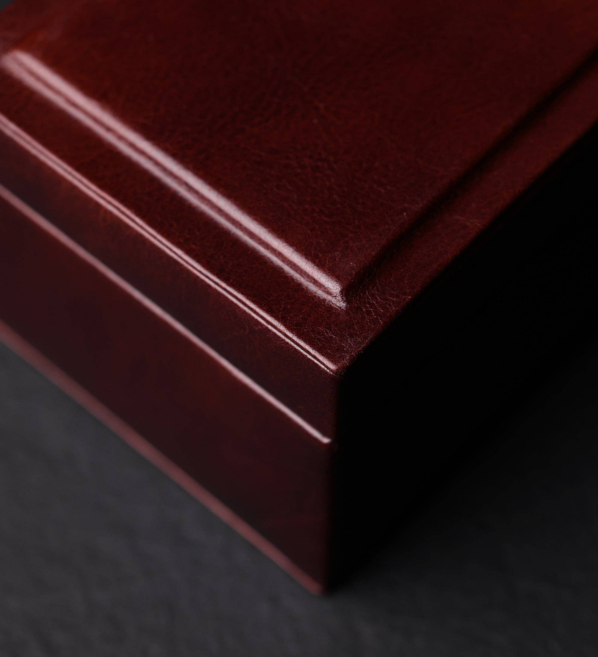 Time Resistance - Vente Boîte/rangement à bijoux - Boîte à montres en cuir Herzog, organiseur de montres23