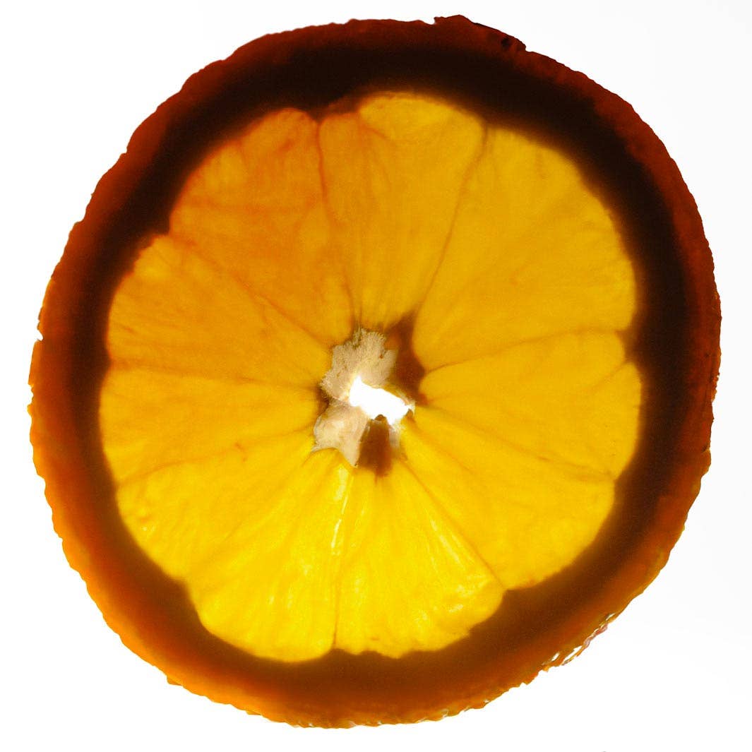 Panier Des Sens - Wholesale Lip Balm - THE COVE - Moisturizing Balm for Lips and Cheeks17