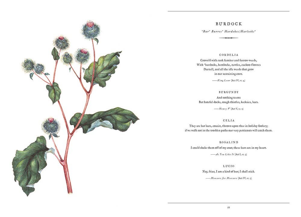 HarperCollins - Wholesale Nature & Outdoors Book - Botanical Shakespeare : Gerit Quealy1