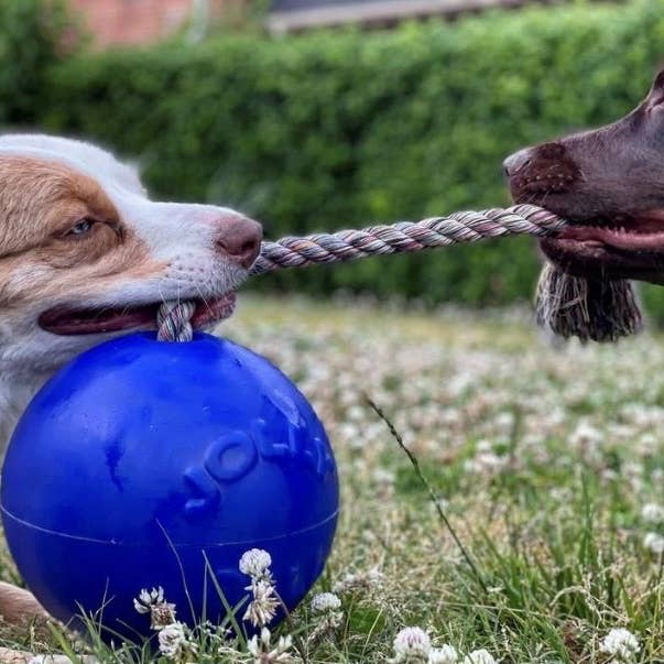 Henry Wag - Vente Jouet en corde – chien - Jouet pour chien Jolly Pets Romp-n-Roll8