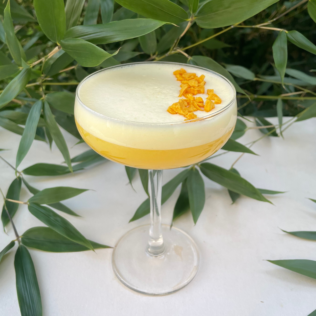 Drink Botanicals Ireland - Wholesale Dried/Dehydrated Fruit - Freeze Dried Passion Fruit Crumble2