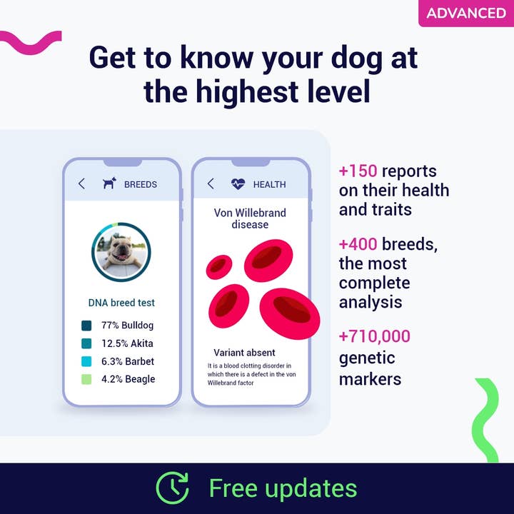 tellmeGen – comida - Cão por atacado – Teste avançado de ADN para cães