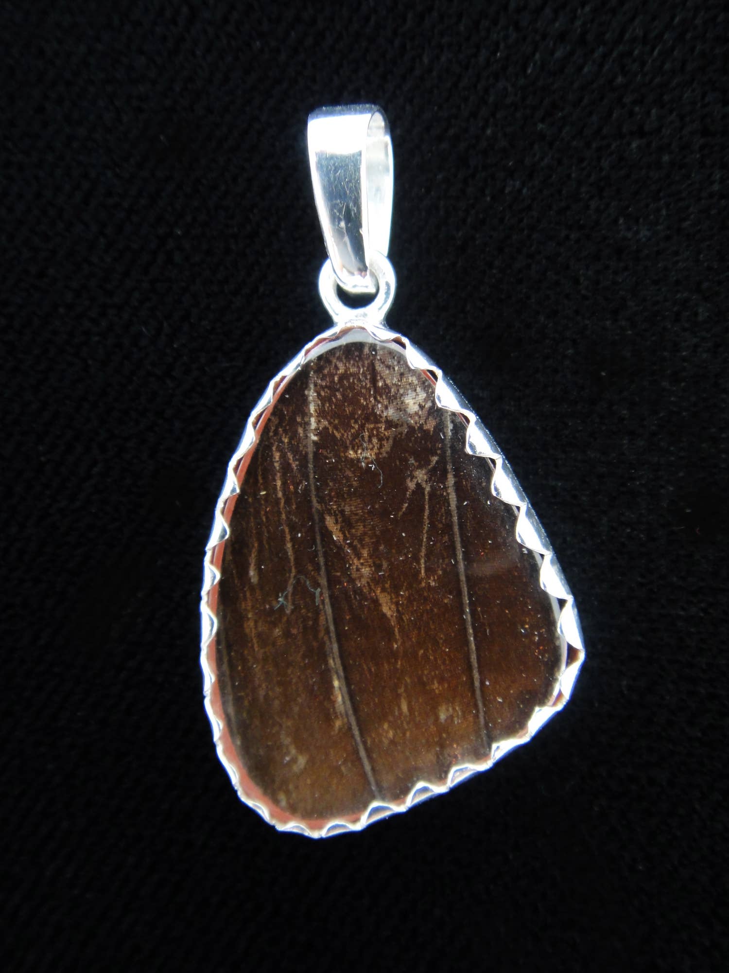 Tika - Wholesale Pendant/Charm Necklace - Shimmerwings "88 Wing" Small Butterfly Pendant1