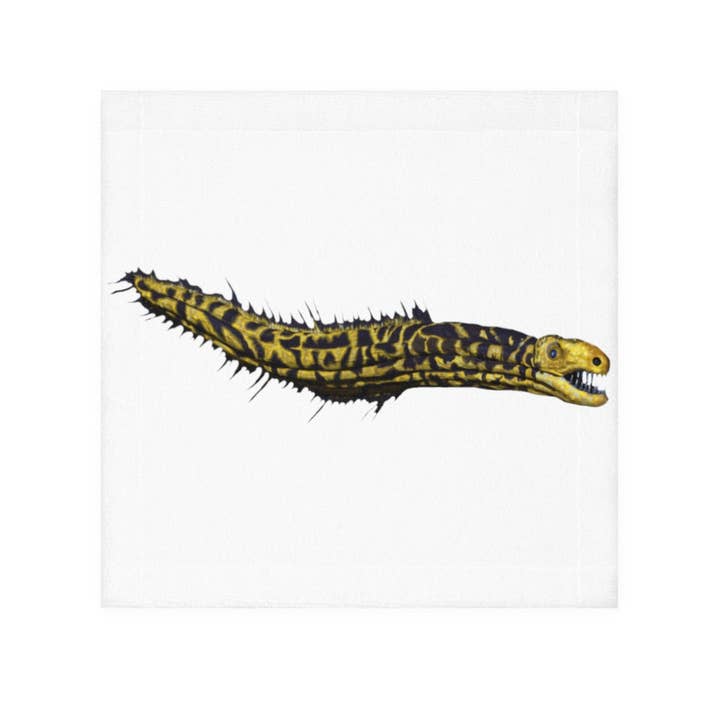 Asciugamano viso anguilla gialla per la vendita all'ingrosso da parte di Marick Booster