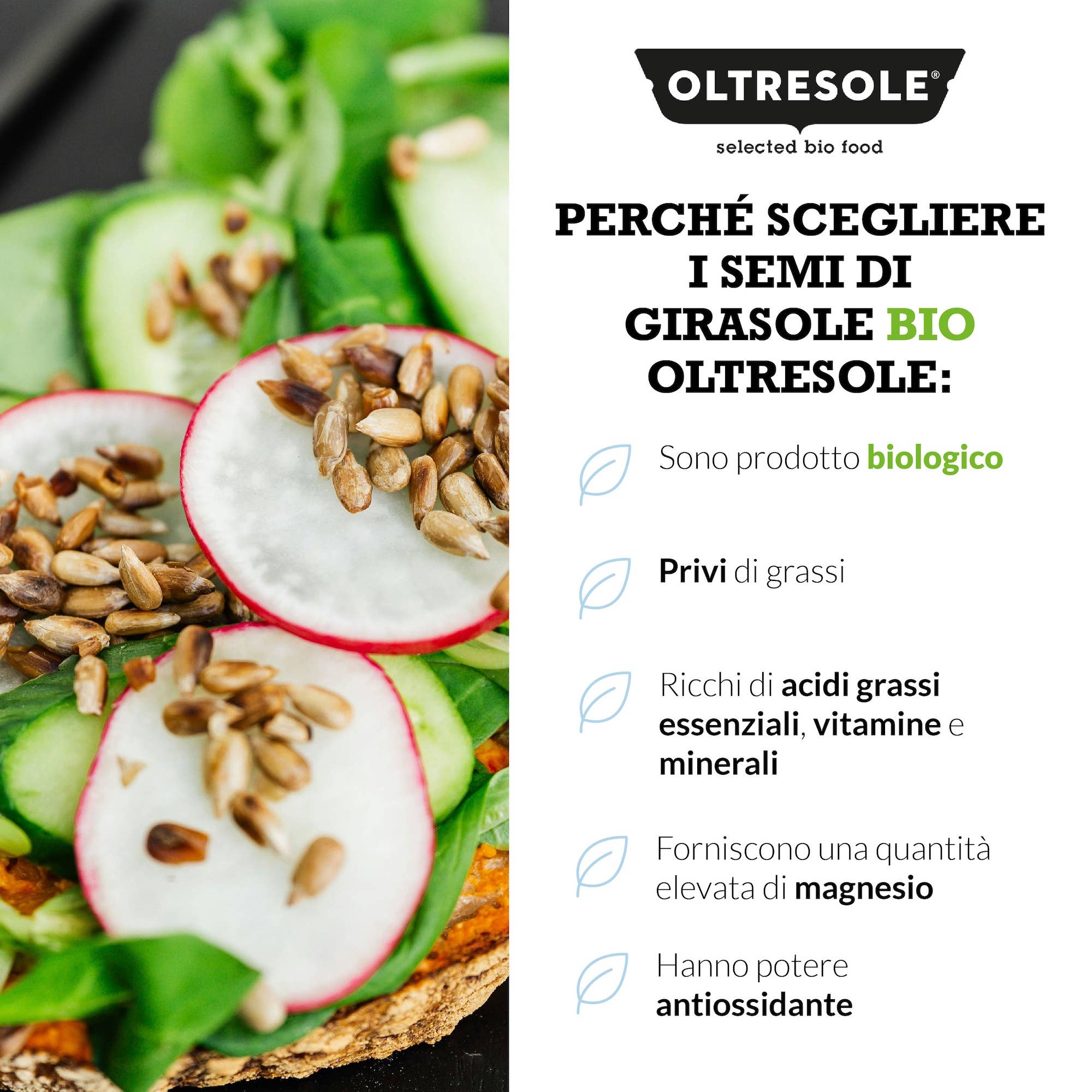 Oltresole - Wholesale Plant seeds - ORGANIC SUNFLOWER SEEDS 3 Kg5