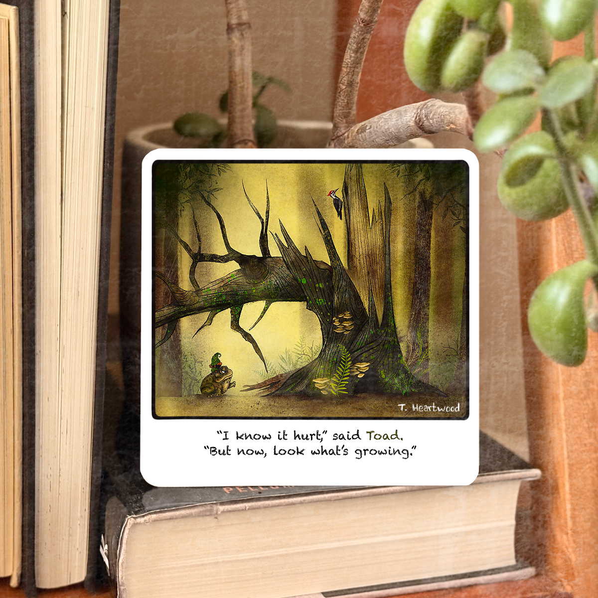 Dafri Studios – wholesale Encouragement card – Growing “Gnome&Toad” Polaroid Collection 0