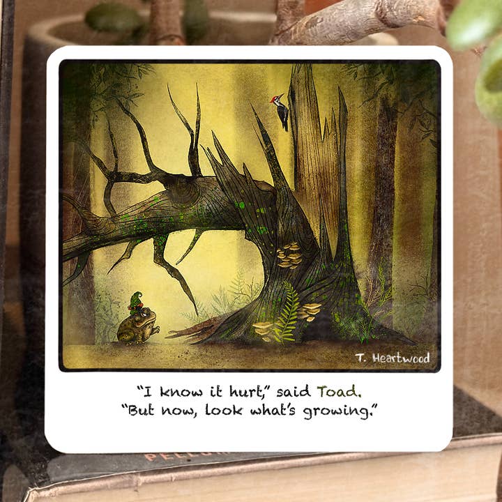 Dafri Studios – wholesale Encouragement card – Growing “Gnome&Toad” Polaroid Collection 0