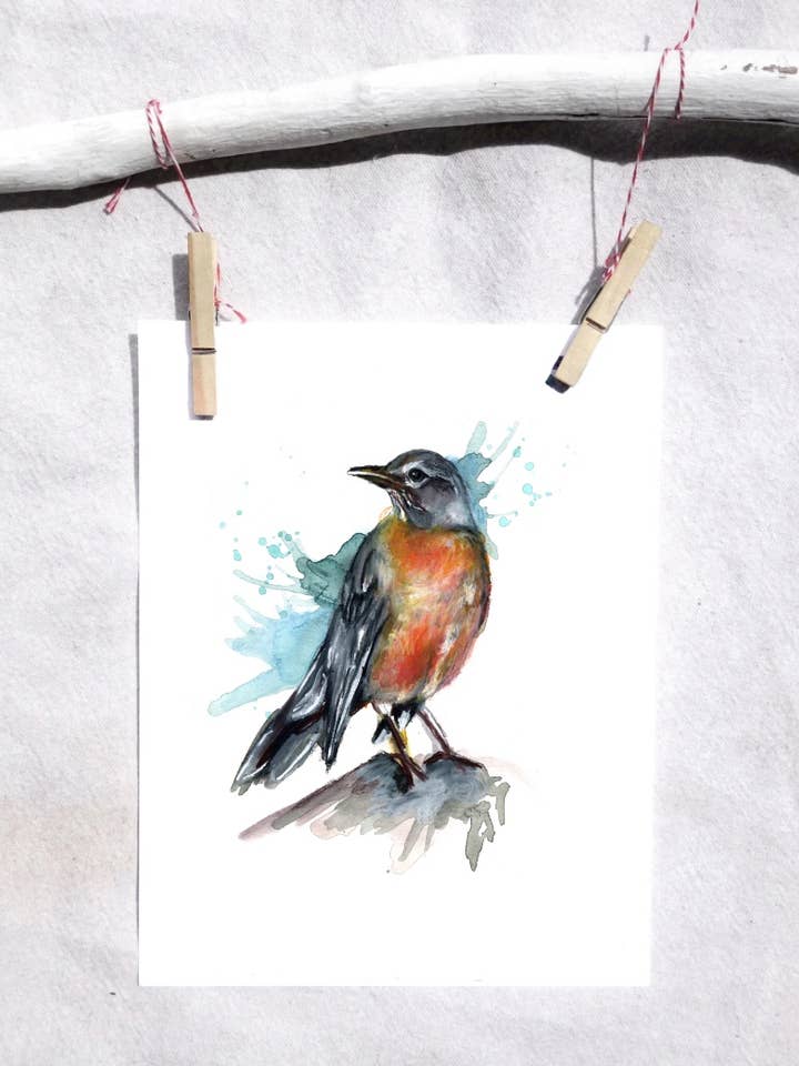 American Robin (female) art print for wholesale by Lindsey Munson