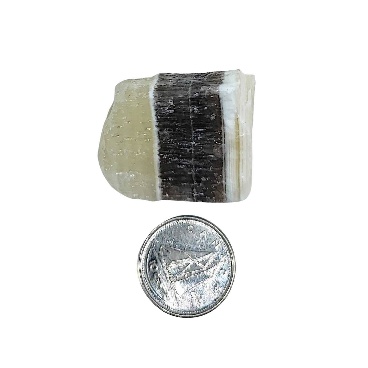Arômes & Évasions - Wholesale Spiritual Stone/Crystal - Stone -Zebra Onyx -Rough1