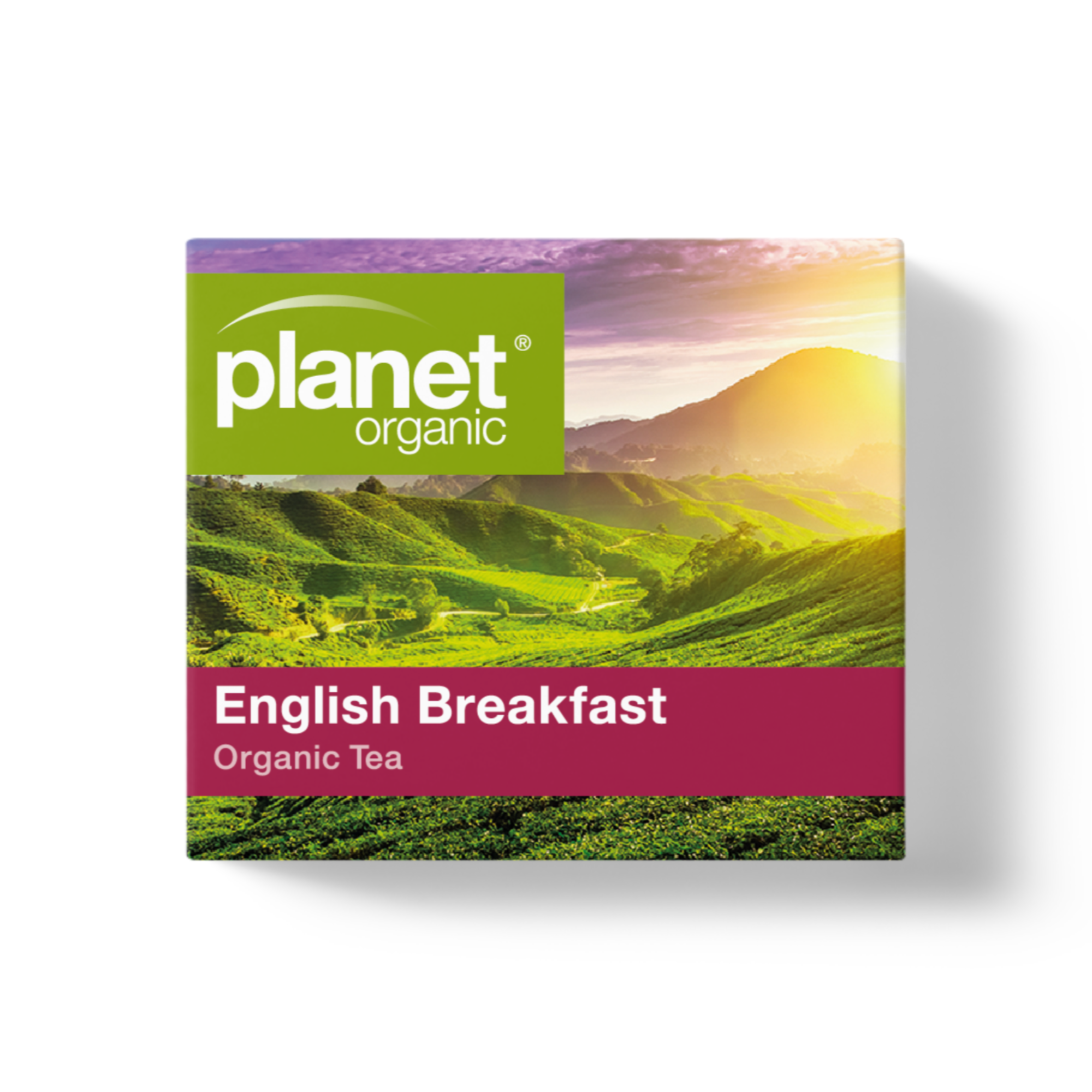 Planet Organic - Wholesale Tea bags - English Breakfast Tea Bags7