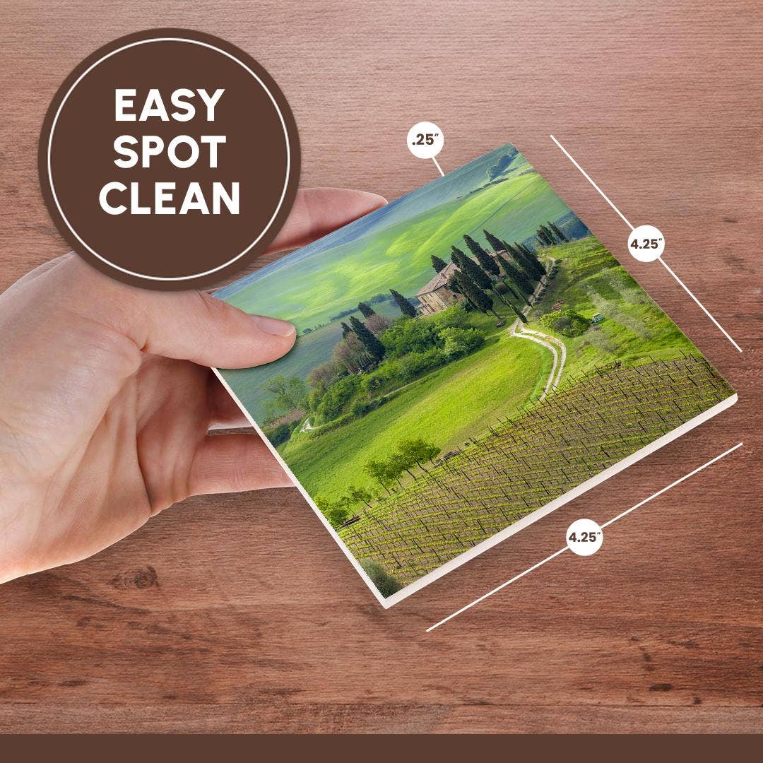 3dRose - Wholesale Coasters - 3dRose, Italy, Val d Orcia. Il Belvedere farmhouse panoramic. , Coaster6