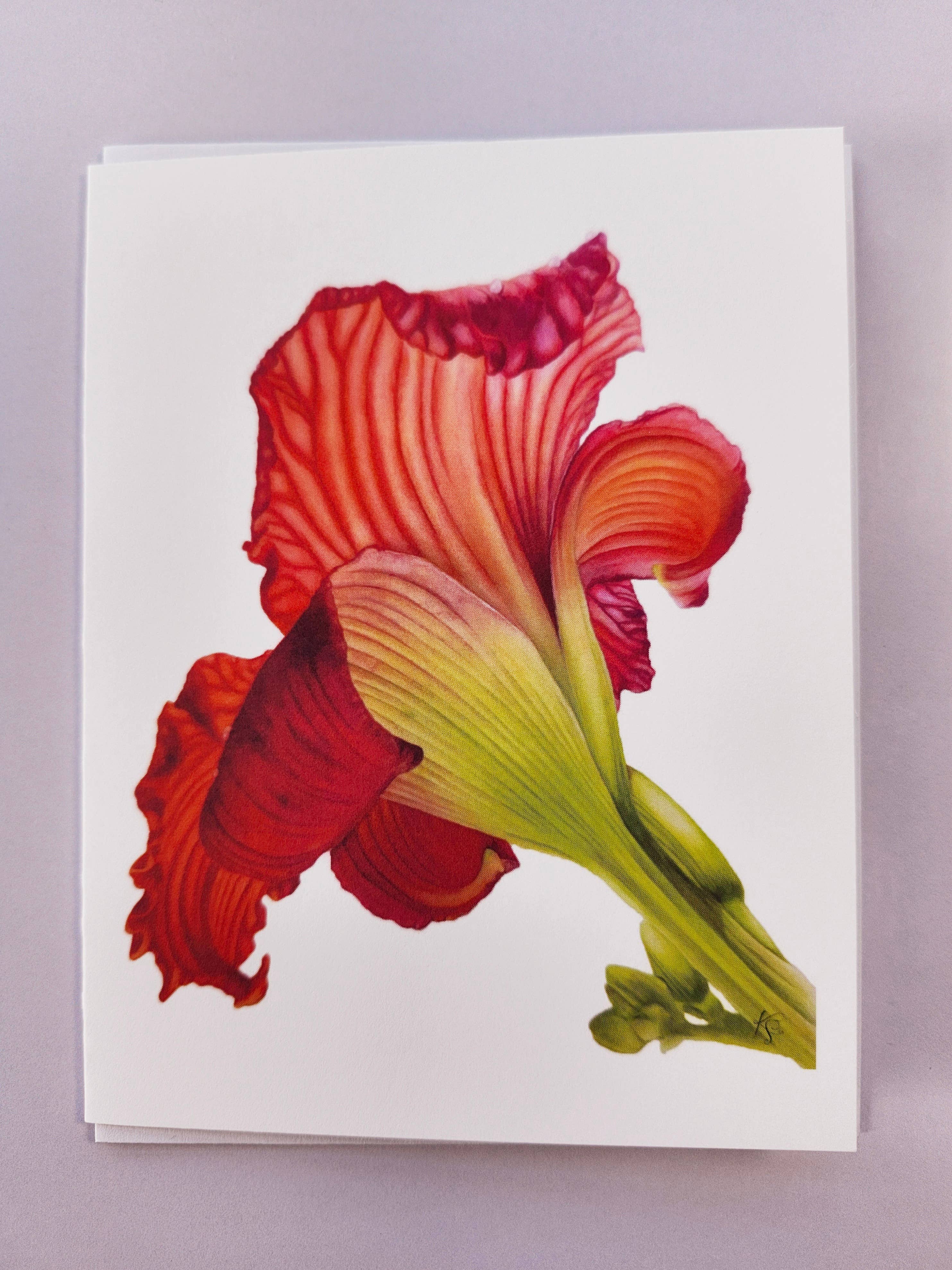 Redbriar Studio - Wholesale Stationery/Notecard Set - Notecards19