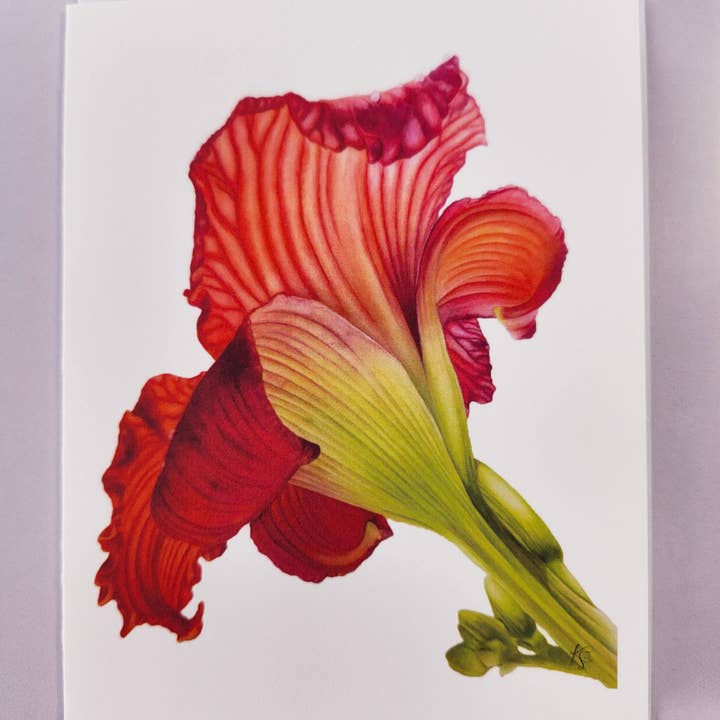 Redbriar Studio - Wholesale Stationery/Notecard Set - Notecards19